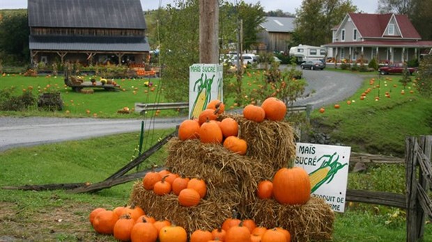 Jusqu’à vendredi pour s’inscrire à la visite des Plantations Stéphan Perreault