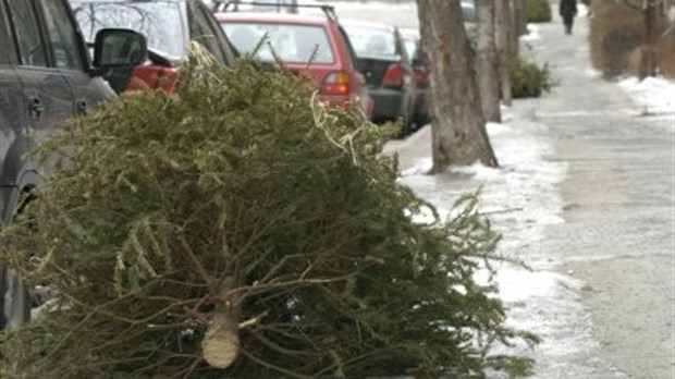 Une 7e collecte d’arbres de Noël dans le Val-Saint-François