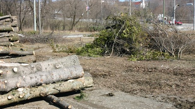 Projet de Martin Proulx à Greenlay : Du mouvement sur le terrain