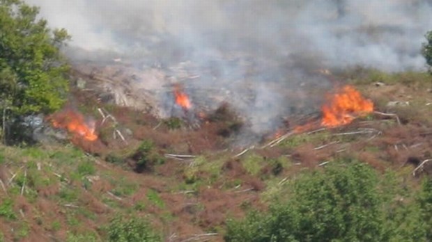 Les pompiers de Richmond maîtrisent un feu de broussailles