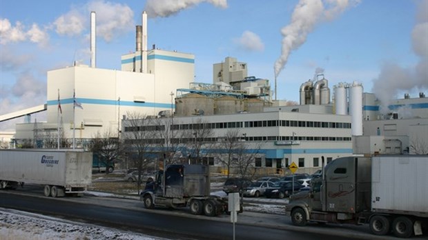 Travaux d'aménagement forestiers près de l'usine Domtar de Windsor