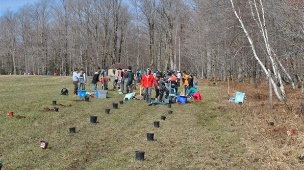 Les élèves de l’école secondaire de l’Odyssée de Valcourt plantent 500 chênes