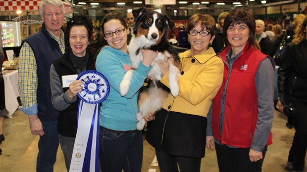 Participation et affluence accrues à l’Exposition canine de Windsor