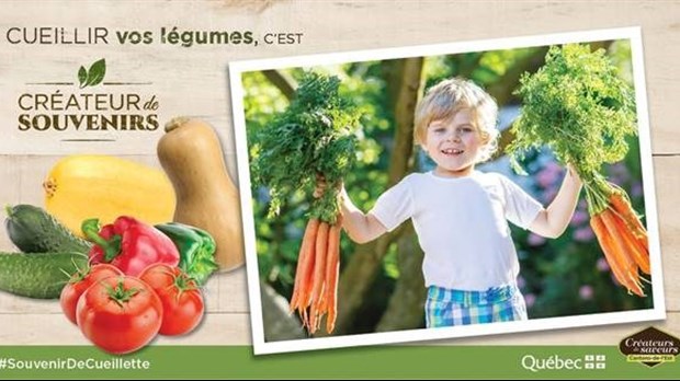 L’autocueillette de légumes et de fleurs, c’est créateur de souvenirs