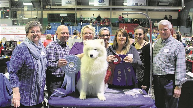 Club canin de l’Estrie : une cinquième édition encore améliorée