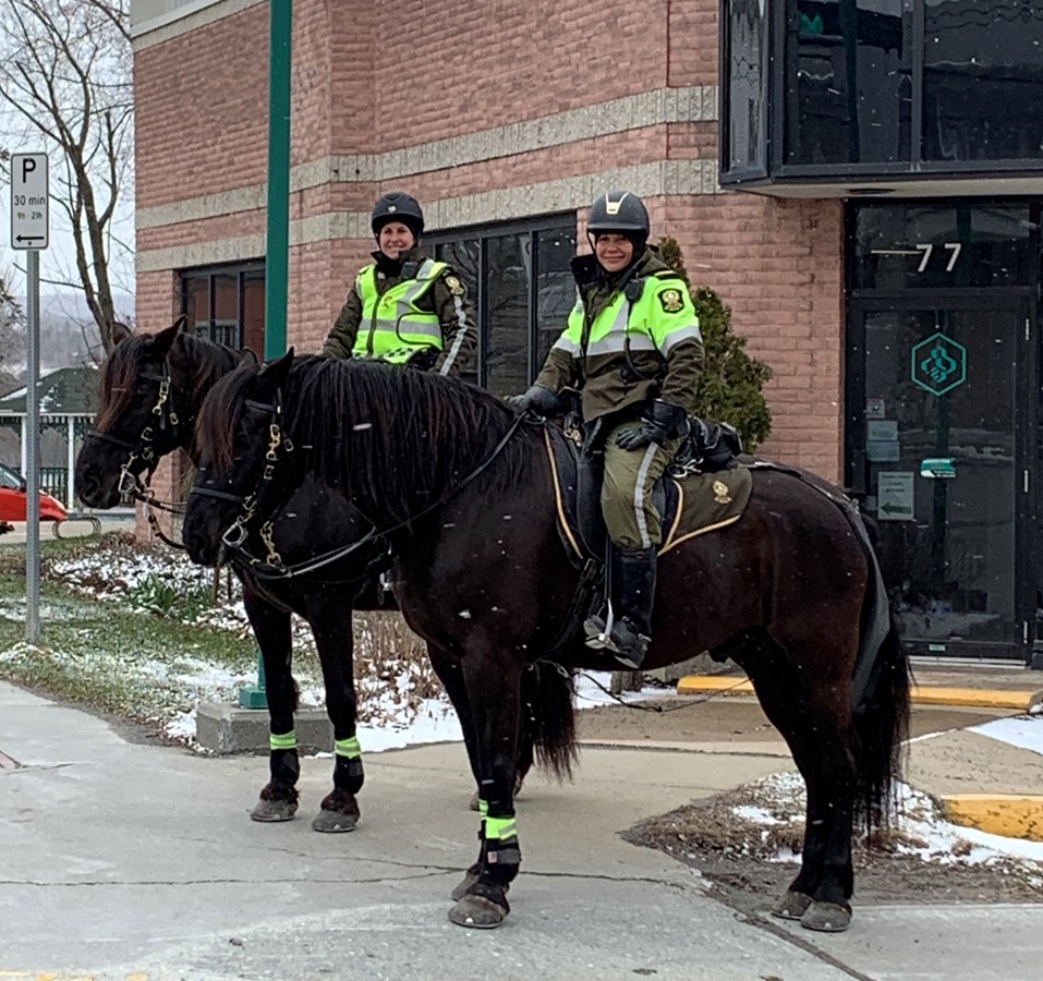 Policiers A Cheval A Windsor Actualites L Etincelle