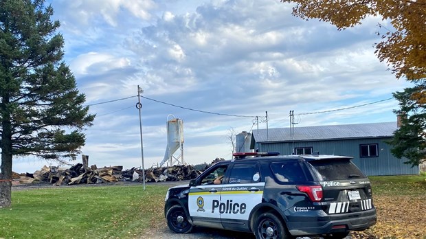 Plus de 100 moutons perdent la vie dans un incendie à Val-Joli