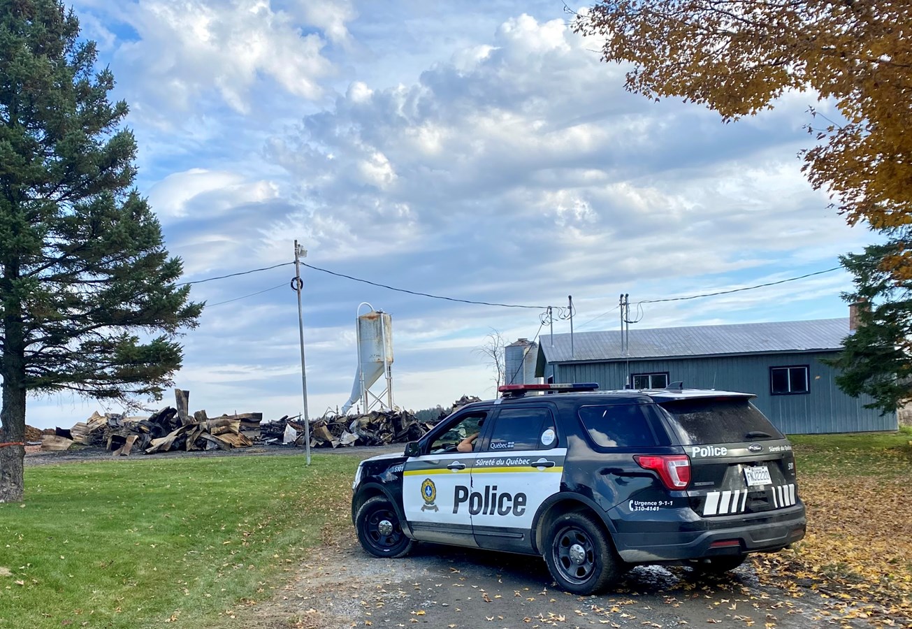 Plus de 100 moutons perdent la vie dans un incendie à Val-Joli