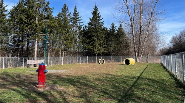 Travaux de réfection au parc canin de Windsor