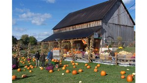 Plantations Perreault et Maison du ranch : évoluer en famille