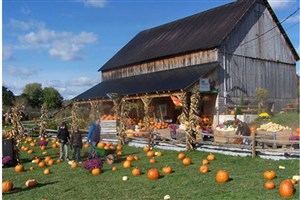 Plantations Perreault et Maison du ranch : évoluer en famille